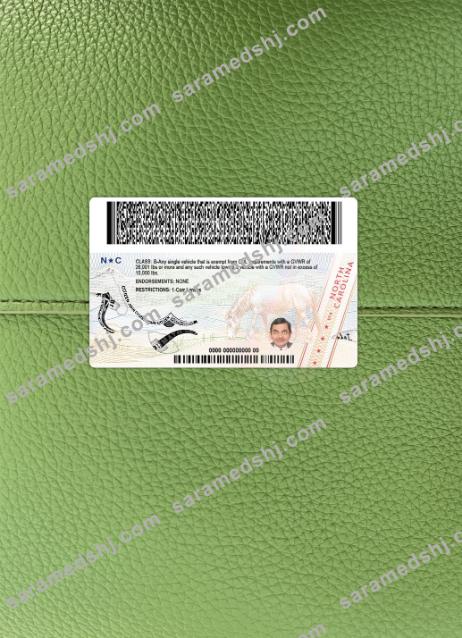 USA North Carolina driving license 2024-present photolook BACK